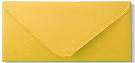 10 V Flap